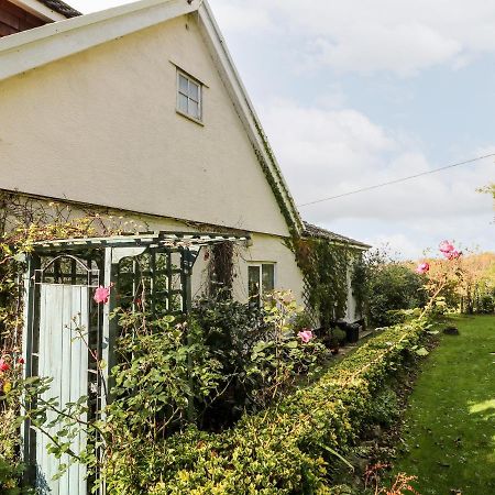 Claire'S Cottage Poughill  المظهر الخارجي الصورة